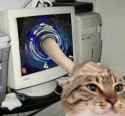 129 KB