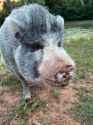 133 KB