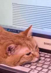 207 KB