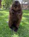 28 KB