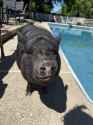 96 KB