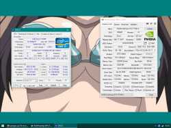 499 KB