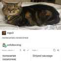 38 KB