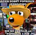 251 KB