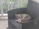 1.97 MB