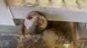 740 KB