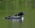 635 KB