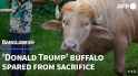 362 KB