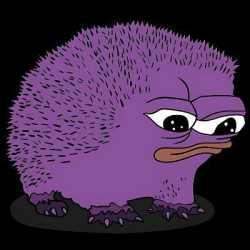 209 KB