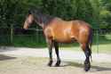 1.96 MB