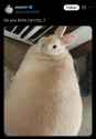 578 KB
