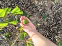 3.76 MB