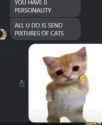 72 KB