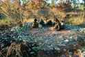 1.44 MB