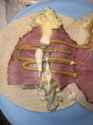 966 KB
