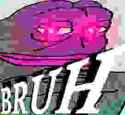 37 KB