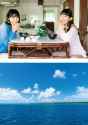 3.1 MB
