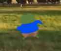 17 KB