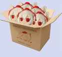 1.01 MB