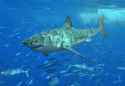 646 KB