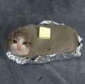 28 KB