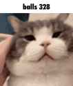 318 KB