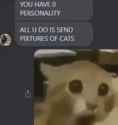 50 KB