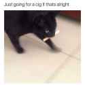 50 KB