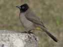 1.93 MB