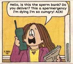127 KB