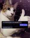 142 KB