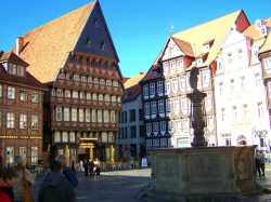319 KB