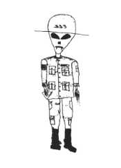 13 KB
