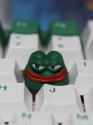 251 KB