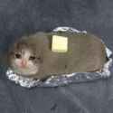 156 KB