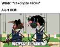 46 KB