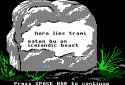 17 KB