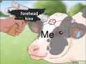 173 KB
