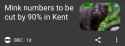 95 KB