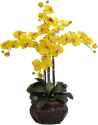 116 KB