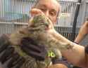 1.26 MB