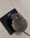 754 KB