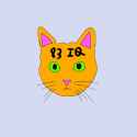 28 KB