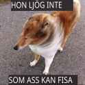1019 KB