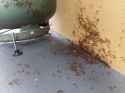 3.71 MB