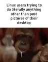 1.35 MB