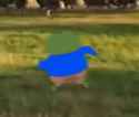 20 KB