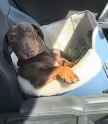 208 KB