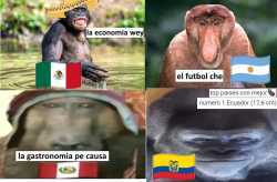 1.32 MB