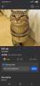 343 KB
